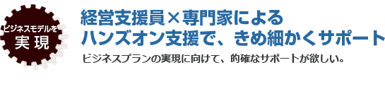 ビジネスモデルを実現　経営支援員×専門家によるハンズオン支援で、きめ細かくサポート