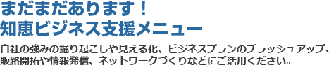 まだまだあります！知恵ビジネス支援メニュー