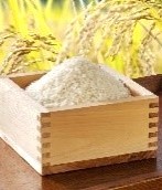masumura.jpg