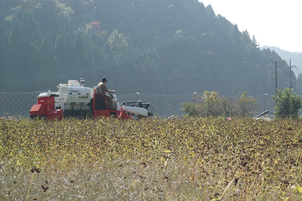 有限会社やくの農業振興団2