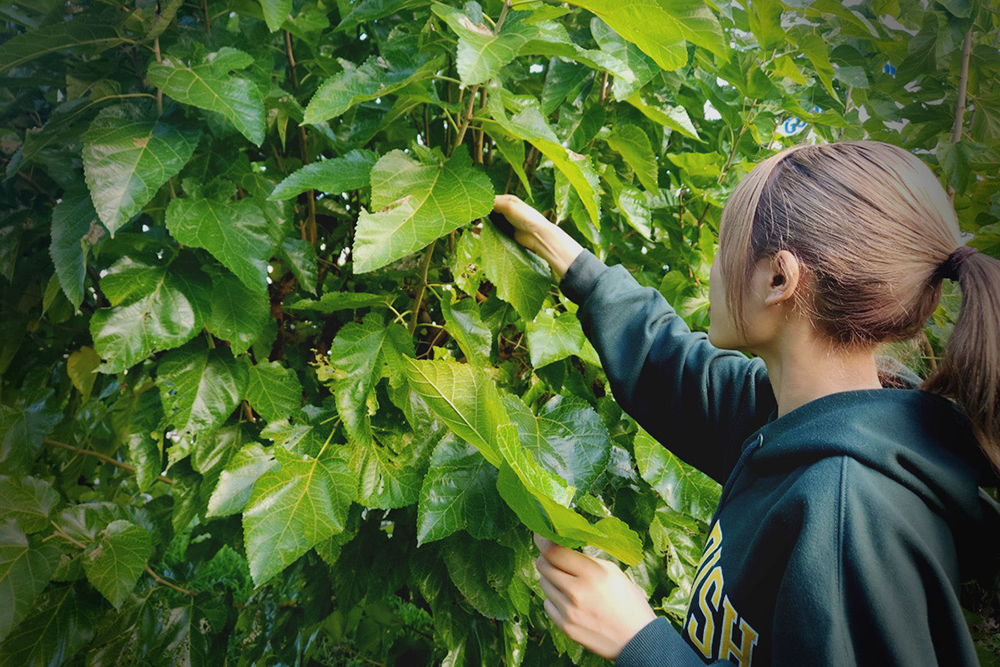 奥京都 共創ラボ - 学生と育む和のスキンケアブランド(ライフシア)2