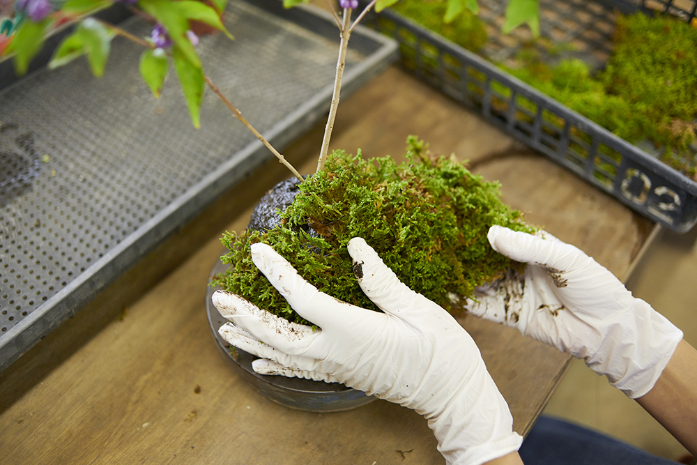 自然社 ナチュラルハイカンパニー2